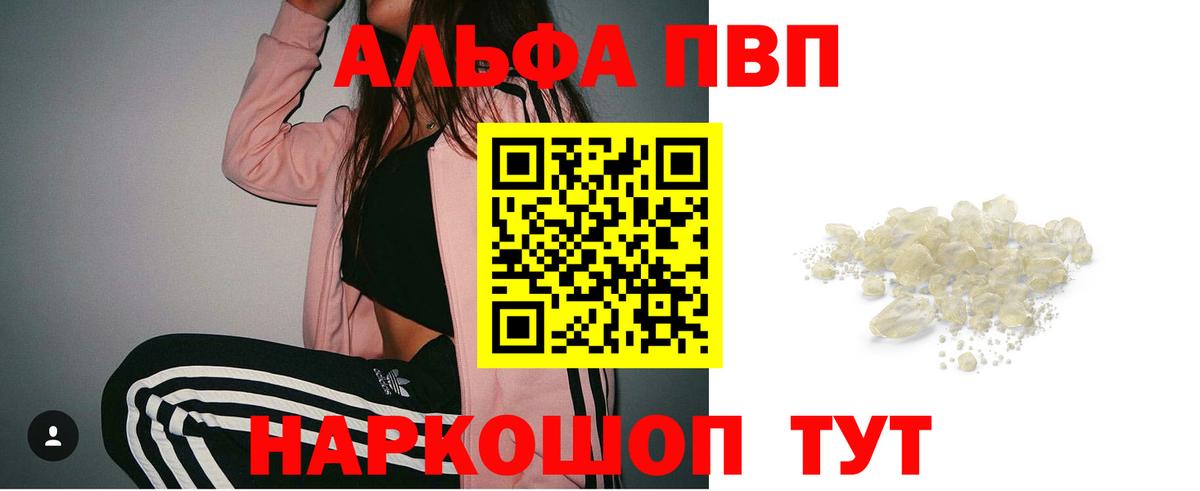 Alfa_PVP СК Куйбышев