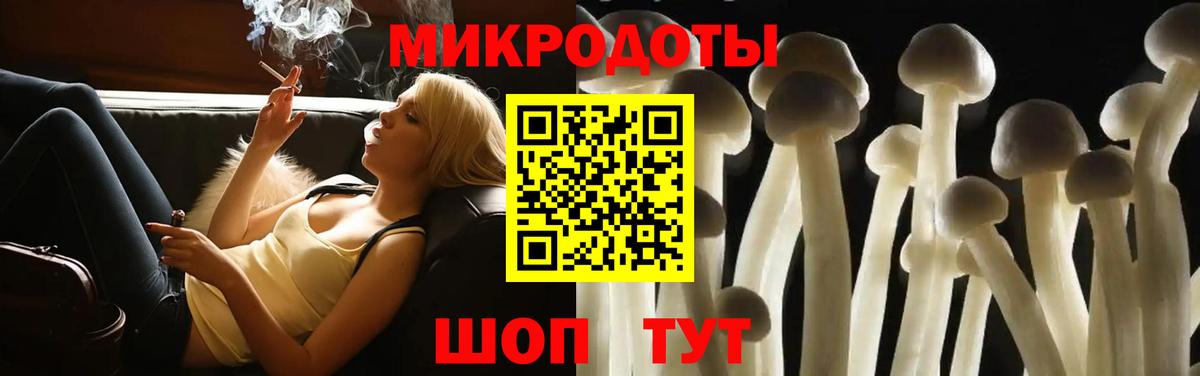 Куйбышев  Псилоцибиновые грибы Psilocybe  закладки  Вход с VPN 